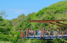 Greenway Nature Tours43