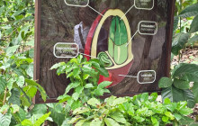 Greenway Nature Tours8