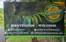 Greenway Nature Tours25