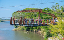 Greenway Nature Tours27