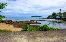 Greenway Nature Tours50