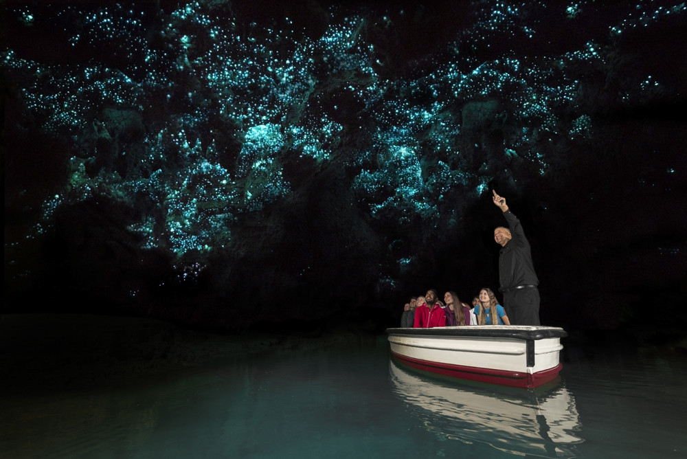 Waitomo Glowworm Caves Afternoon Tour from Rotorua