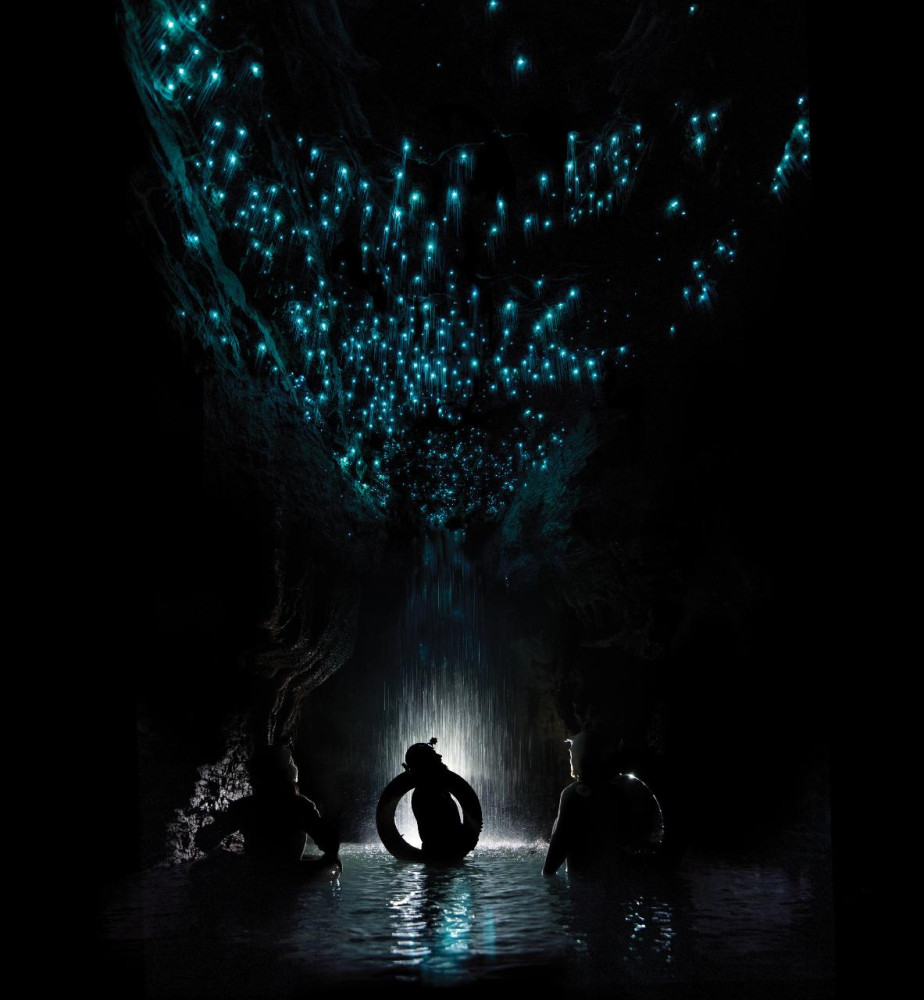 Rotorua & Waitomo Caves Day Tour from Auckland