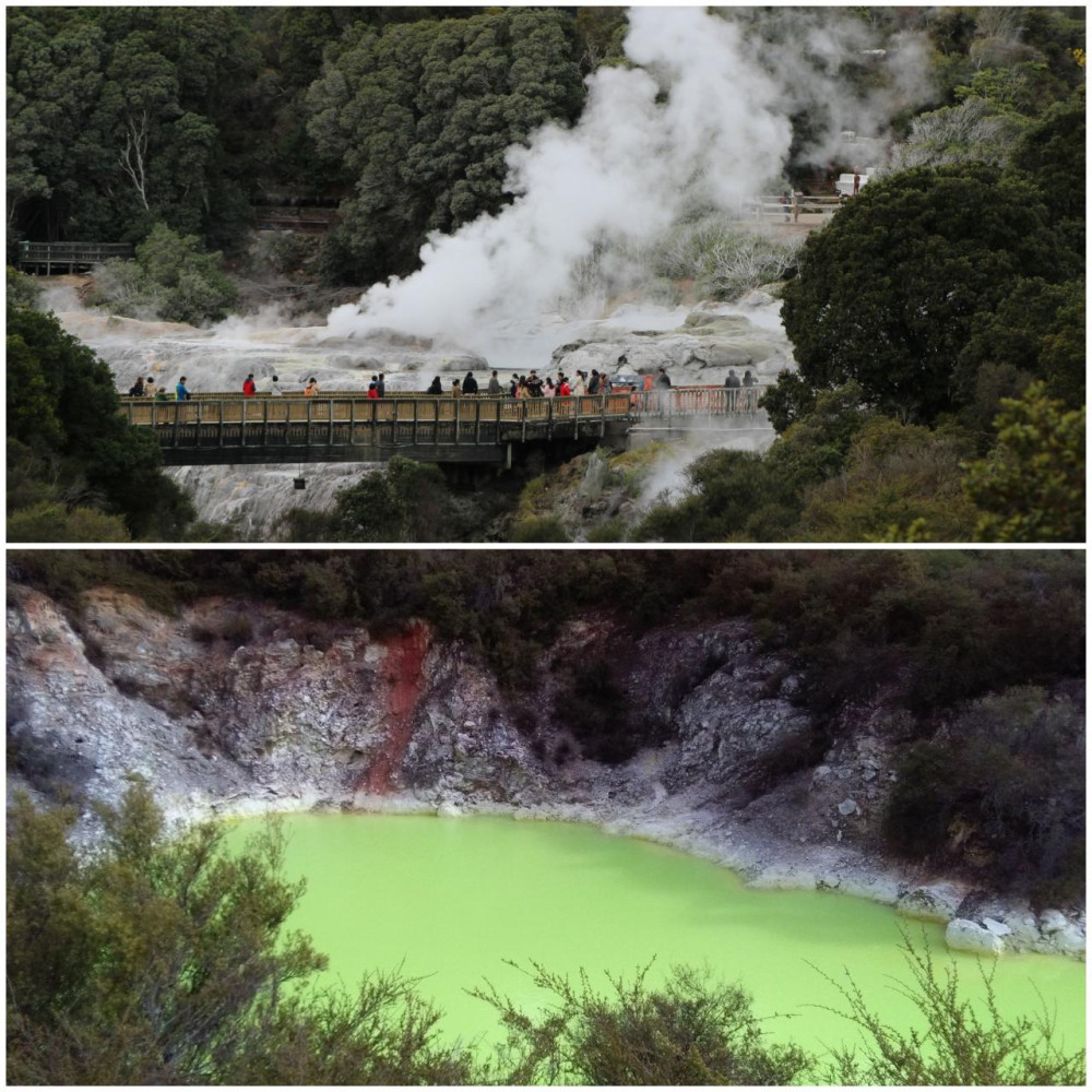 Rotorua & Waiotapu Geothermal Day Tour with Lunch