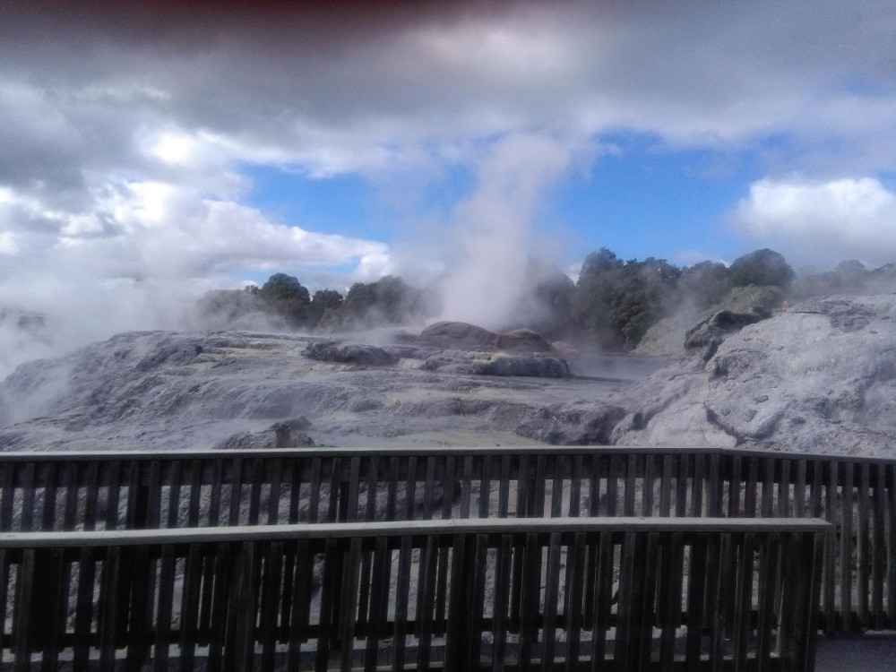 Rotorua Highlights & Te Puia Day Tour from Auckland
