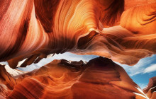 Marvit Tours LLC6