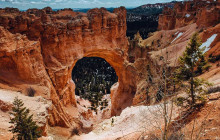 Marvit Tours LLC4