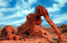Marvit Tours LLC1
