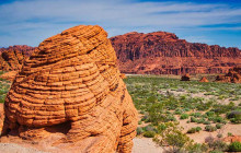 Marvit Tours LLC7