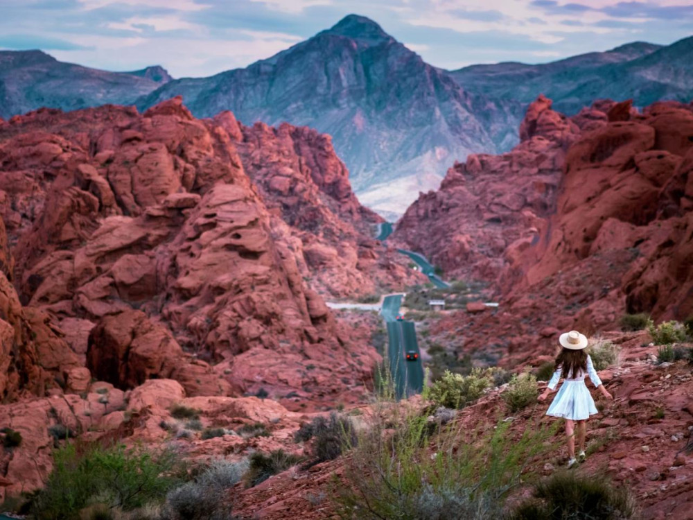 Valley Of Fire And Mojave Desert Small Group VIP Tour