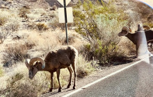 Marvit Tours LLC12