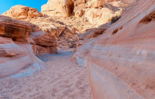 Marvit Tours LLC13