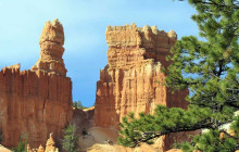 Marvit Tours LLC11