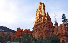 Marvit Tours LLC10