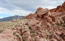 Marvit Tours LLC17