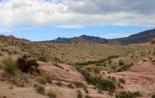 Marvit Tours LLC19