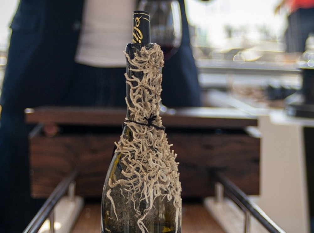 Sailing Tour and Tasting of Submarine Wines Onboard