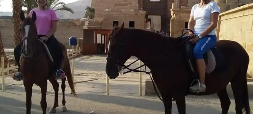 6 Day Unique Horse Back Riding Experience in Luxor
