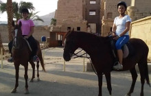 6 Day Unique Horse Back Riding Experience in Luxor