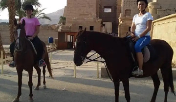 A picture of 6 Day Unique Horse Back Riding Experience in Luxor