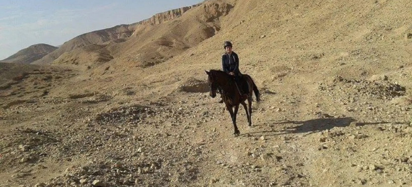 2 Hour Countryside & Habu Temple Horseback Ride