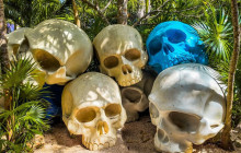 Tulum Snorkel Services40
