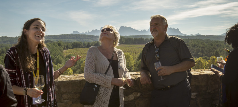 Montserrat, Tapas & Wine Tour, photo 4 of 11