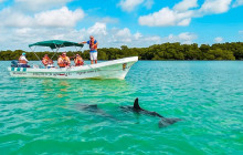Tulum Snorkel Services1