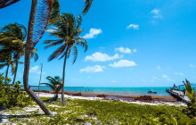 Tulum Snorkel Services9