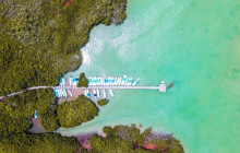 Tulum Snorkel Services19