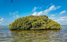 Tulum Snorkel Services31