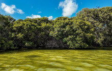 Tulum Snorkel Services32