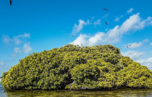 Tulum Snorkel Services45
