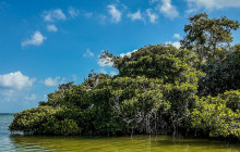 Tulum Snorkel Services46