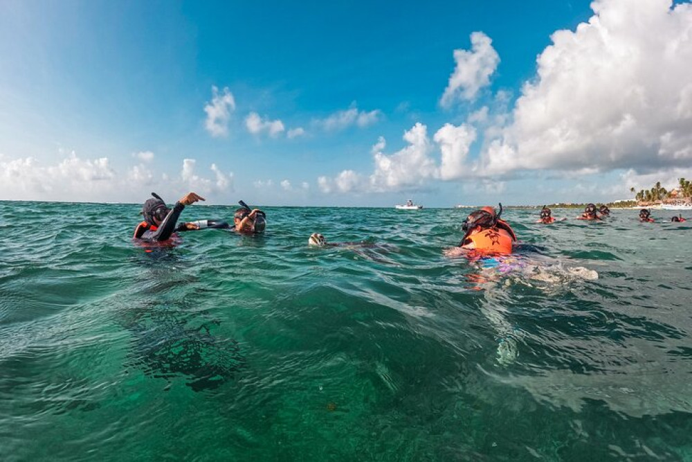 Akumal Snorkeling With Turtles