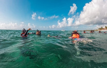 Tulum Snorkel Services1