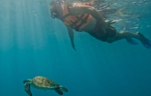 Tulum Snorkel Services5