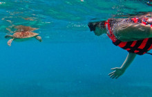 Tulum Snorkel Services6