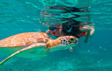 Tulum Snorkel Services8
