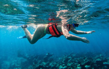 Tulum Snorkel Services10