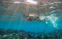 Tulum Snorkel Services11