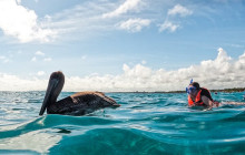 Tulum Snorkel Services15