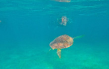 Tulum Snorkel Services24