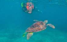 Tulum Snorkel Services25