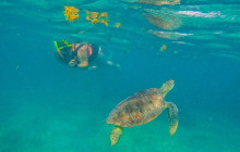 Tulum Snorkel Services26