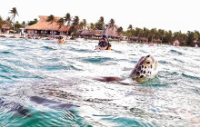 Tulum Snorkel Services33
