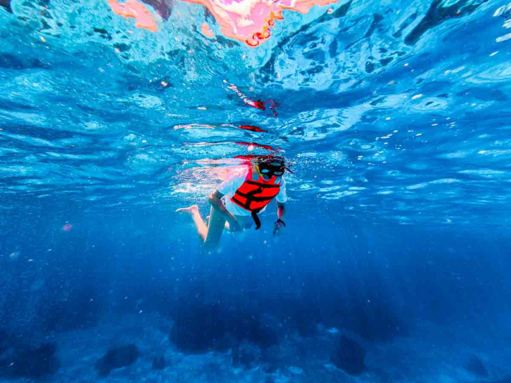 Cozumel Elite: The Sea Ray Snorkel Experience