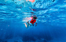 Tulum Snorkel Services1