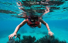Tulum Snorkel Services12