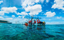 Tulum Snorkel Services19